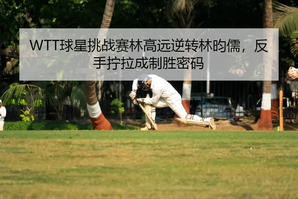 WTT球星挑战赛林高远逆转林昀儒，反手拧拉成制胜密码